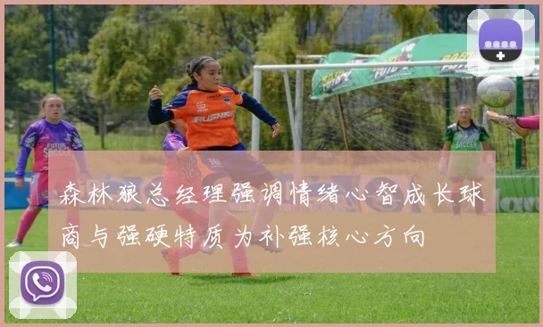 森林狼总经理强调情绪心智成长球商与强硬特质为补强核心方向